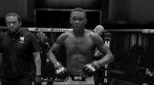 Discover & share this the maury show gif with everyone you know. Israel Adesanya Sport Gif By Ufc