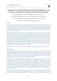 Image result for Pentadesma reyndersii