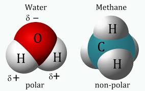 Polarity describes the distribution of electrical charge around a molecule. What Kind Of Life Would We Find On Titan