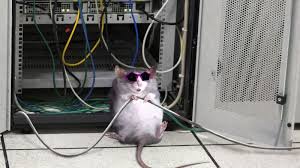 We did not find results for: Luckymouse Hits National Data Center To Organize Country Level Waterholing Campaign Securelist