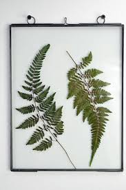 Perfect to use as a cheeseboard for entertaining and as a decorative piece throughout the year. Pressed Fern Glass Frame Wall Art Wall Decor Pressed Botanical Flowers Black Frame Zinc Frame Framed Wall Art Art Wall Wall Art