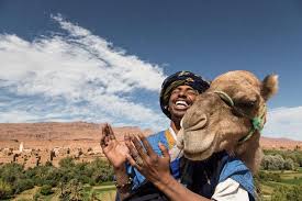 It was recorded in 1992 and released on the enja label. 2 Days One Night Desert Trip Marrakech To Merzouga Erg Chebbi Including Camel Marriott Vacation Club