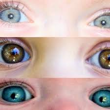 Predicting My Babies Eye Color Newborn Eye Color Eyes