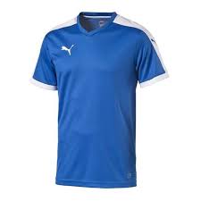 We did not find results for: Puma Trikot Pitch Kurzarm Bei Vereinsexpress De