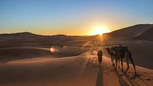 Travel by camel through north africa. 10 Of The Best Places To Visit In Morocco