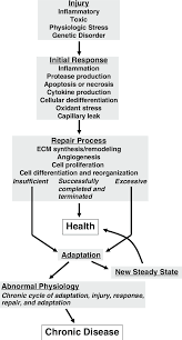 The underlying basis of renal injury appears to be impaired energetics of the highly metabolically active nephron segments (i.e., proximal tubules and thick ascending limb) in the renal outer medulla, which can trigger conversion from transient hypoxia to intrinsic renal failure. Theoretical Schema For The Pathogenesis Of Chronic Kidney Disease Ecm Download Scientific Diagram
