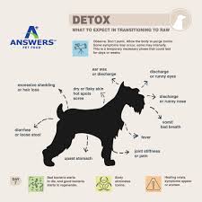 Check spelling or type a new query. Diarrhea Detox Signs You May See Answers Pet Food Facebook