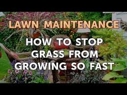 One of the best natural ways to kill grass is with lasagna gardening or sheet composting. How To Stop Grass From Growing So Fast Youtube