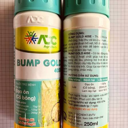 Bump gold 40SE