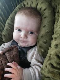 Puppy gains 20lbs in 2 weeks