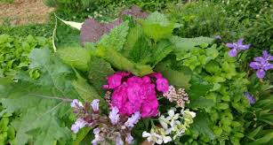 Tips on how to grow a cut flower garden including how to layout your garden, amending soil, and flowers to choose for tips on how to grow a cut flower garden from gardener and florist helena willcocks. How To Start A Cut Flower Bed In Your Vegetable Garden