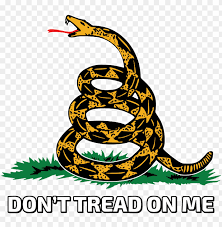 Don't tread on me with stylish fonts. Dont Tread On Me Snake Tattoos Gadsden Flag Dont Don T Tread On Me Leg Tattoo Png Image With Transparent Background Toppng