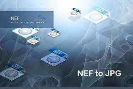 Convert Nef To Jpg How To Convert Nef Files To Jpg Without Losing Quality Nikon Camera Nikon Electronics