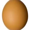 Sebenarnya pengertian telur horn ini adalah sama dengan telur ayam negeri, yaitu telur yang dihasilkan dari ayam petelur negeri yang produktif. Https Encrypted Tbn0 Gstatic Com Images Q Tbn And9gcrcw1twxvvam97aesj0kpyovgenczh8hsgyoqea9fc Usqp Cau