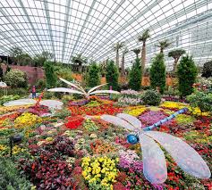 Airzone, sky bridge, gardens by the bay, jurong bird park, ez link card, f&b credits & more. Singapore S Gardens By The Bay Wendy Wu Tours Asia Inspiration