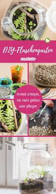 Ewiger Minigarten Im Glas So Gelingt Das Biotop Fur Den Schreibtisch Flaschengarten Mini Garten Garten Pflanzen