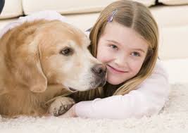 LEAPATRICK'S CHEM-DRY