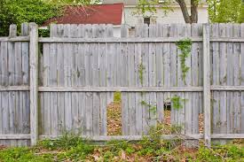 Just Screw Diy Rails To Standing Missing Sections Of Fence To Repair How Old Wood Fence Wood Fence Old Fences Wooden Fence