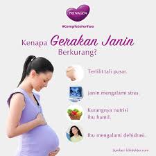 Bagaimana proses bayi membesar dalam kandungan? Prenagen World Pw Biasanya Janin Dalam Kandungan Selalu Aktif Bergerak Namun Kenapa Belakangan Ini Gerakannya Terasa Berkurang Ya Memang Gerakan Janin Yang Berkurang Tidak Melulu Berarti Kondisi Janin Tidak Sehat Ada