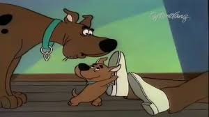 Scooby Doo Si Scrappy Doo Scarabeul E Viu Dublat In Romana Youtube