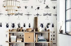 La chine est reine, l'inattendu est roi. Tendance Cabinet De Curiosite Des Insectes Dans La Deco Deco Idees