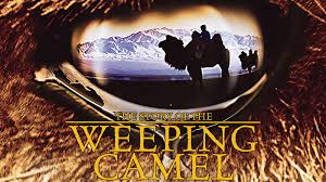 But if the film is the story of the weeping camel, after just a few minutes of patience, you'll find yourself in the midst of a unique fictional film with a documentary feel, a touching curiosity about an extended family of mongolian camel herders in the gobi desert. The Story Of The Weeping Camel Movie Fanart Fanart Tv