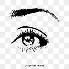 Eye Png And Vector Imagenes De Ojos Ojos De Dibujos Animados Ojos Png