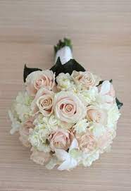 Check spelling or type a new query. Pale Pink Wedding Flowers Google Search Flower Centerpieces Wedding Flower Bouquet Wedding White Wedding Bouquets