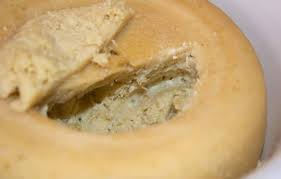 Casu Marzu Fromage Sarde