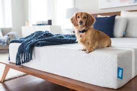 Leesa Mattress Review 2021 In Depth Review