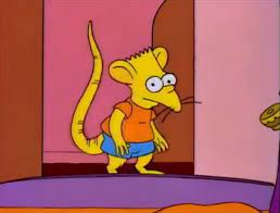 Ratboy Genius in the Simpsons : r/ratboygenius