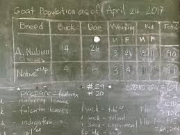 Javier Multiplier Farm