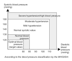 Blood Pressure Chart Weight Loss Resources