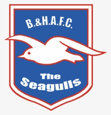 Why don't you let us know. Brighton Hove Albion Football Club Brighton Hove Albion F C Hd Png Download Transparent Png Image Pngitem