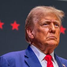 Pro-Palestinian delegates plan to push US Democratic convention for Israel  arms embargo