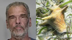 Key West man gets felony charge for eating protected conch, authorities say