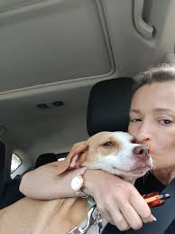 I got inspired... Show me a pic of you kissing your Beagle 😘 This is me  and charlie