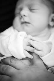 Kathy Joyce Photography