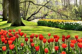 We did not find results for: Beautiful Park In Spring With Pond Trees And Flowers Stock Photo Picture And Royalty Free Image Image 25671182