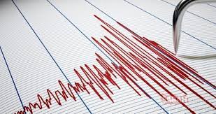 Deprem bilimi içerisinde yer alan bir terim olan fay hattı, iki kıta sahanlığının birbirleri ile sürtünerek hareket etmeleri sonucunda oluşan yapıya denir. Son Dakika Kusadasi Korfezi Nde Deprem Izmir Ve Aydin Da Hissedildi Kandilli Rasathanesi Ve Afad Son Depremler Listesi Son Dakika Haberler