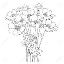 Maybe you would like to learn more about one of these? Hand Drawing Bouquet With Outline Anemone Flower Or Windflower Bud And Leaf In Black Isolated On White Background Ornate Contour Anemones For Spring Or Summer Design Or Coloring Book Royalty Free Cliparts