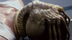 What's the scariest movie you've ever seen? The 10 Most Shocking Deaths In Horror Movies Taste Of Cinema Movie Reviews And Classic Movie Lists