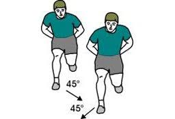 The Variation Principle In Sports Training