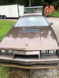 Image result for Sable Brown 1984 Dodge