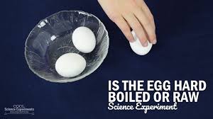 How do you cook your hard boiled eggs? Is The Egg Hard Boiled Or Raw Science Experiment