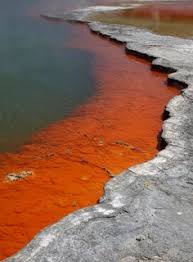 Archive Champagne Pool New Zealand Travel Beautiful Landscapes Places To See