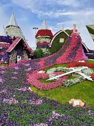 Visiting The Dubai Miracle Garden A Complete Guide This Rare Earth