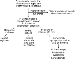 Waldenstrom Macroglobulinemia Treatment Algorithm 2018 Blood Cancer Journal