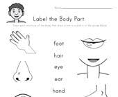 This worksheet has the instructions and dice for the body parts game. Body Worksheets All Kids Network