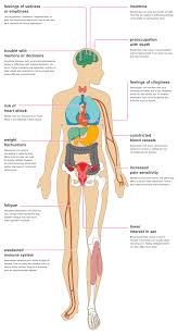 There are hundreds of different types, or strains, of the bacteria e. The Effects Of Depression In Your Body